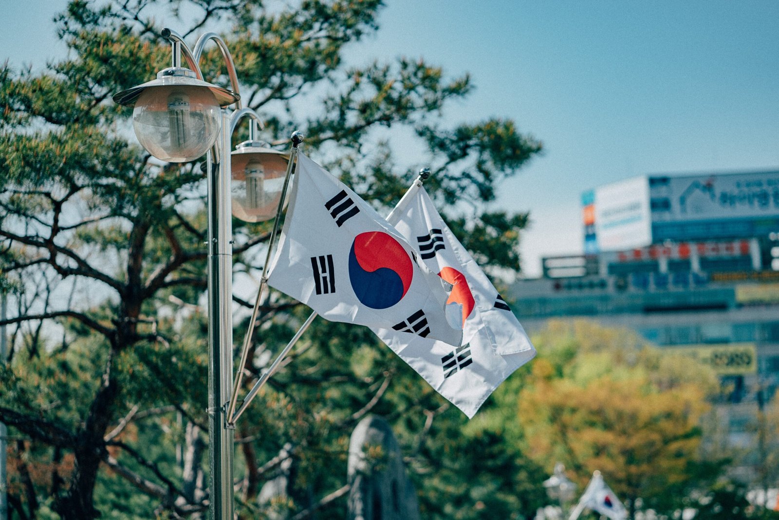 Two South Korean flags on a flag pole in front of a building representing start a business in south korea.
